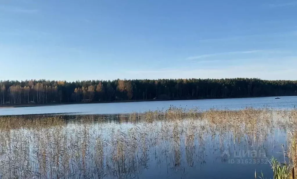 Участок в Псковская область, Печорский муниципальный округ, Лесицкое ... - Фото 1