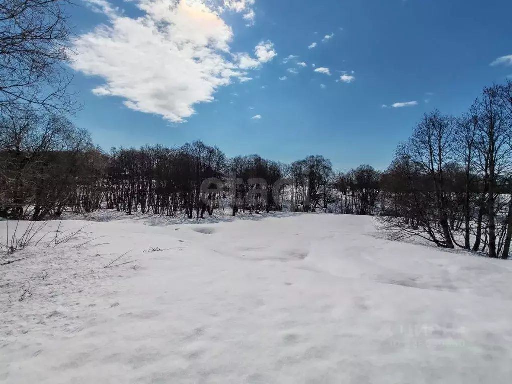 Участок в Камчатский край, Елизовский муниципальный округ, пос. Новый  ... - Фото 2