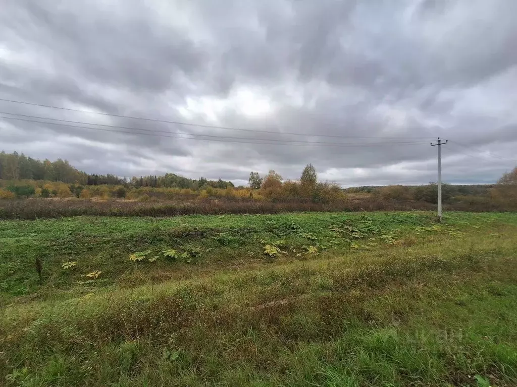 Участок в Пермский край, Пермский муниципальный округ  (5.0 сот.) - Фото 2