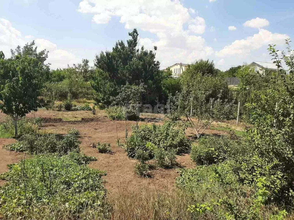 Участок в Крым, Симферопольский район, Перовское с/пос, Новозбурьевка ... - Фото 1