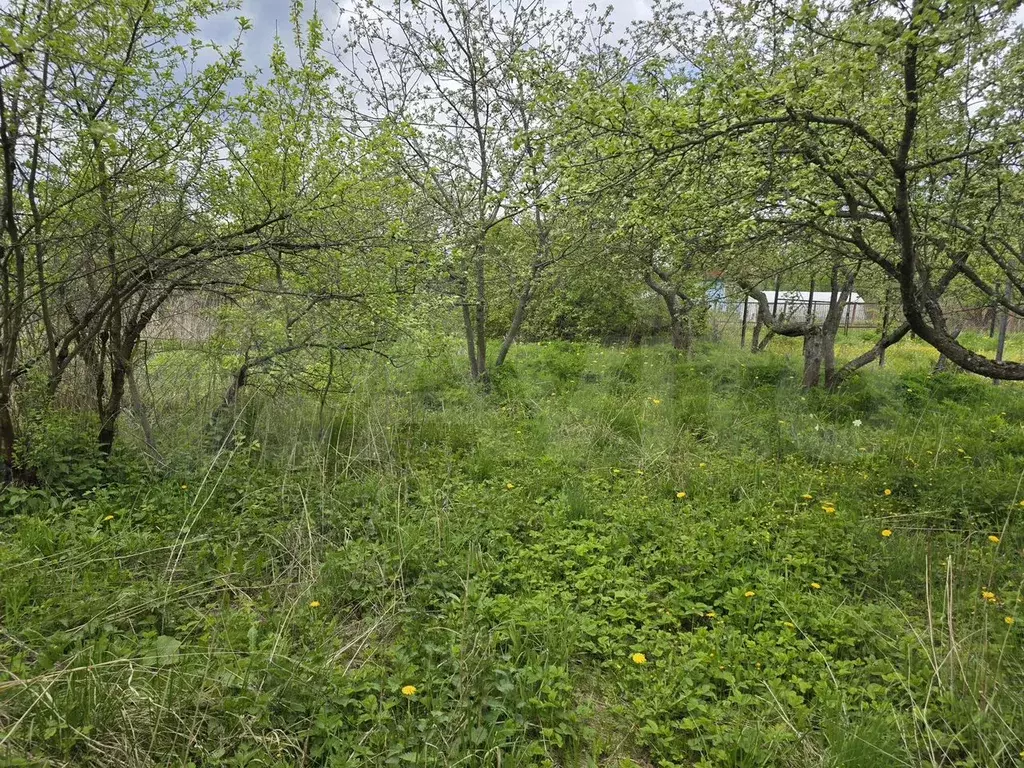 Участок 11,9 сот. (СНТ, ДНП) - Фото 1