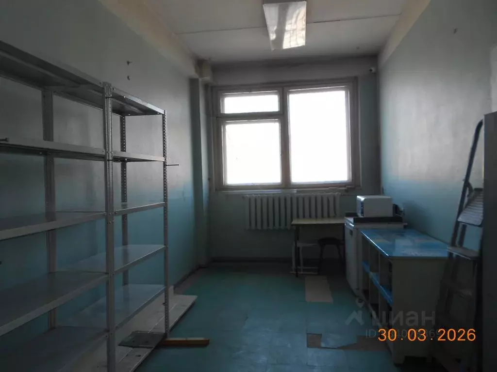 Помещение свободного назначения в Новосибирская область, Новосибирск ... - Фото 1