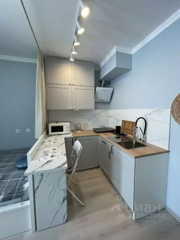 Студия Санкт-Петербург Кузнецовская ул., 58к1 (25.0 м) - Фото 1