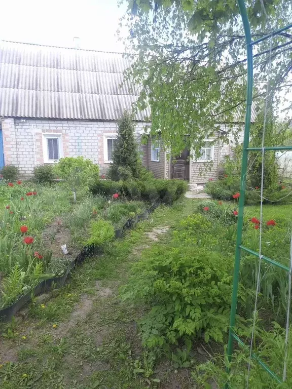 Дом 74,5 м на участке 22 сот. - Фото 0