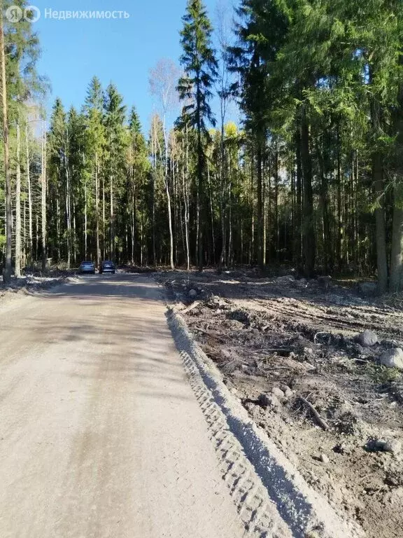 Участок в Ленинградская область, Всеволожск (37.5 м) - Фото 1