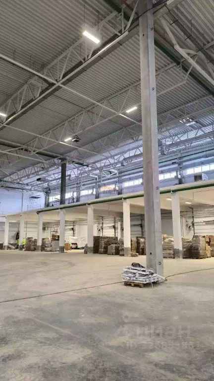 Склад в Московская область, Пушкинский городской округ, д. Щеглово 9 ... - Фото 1