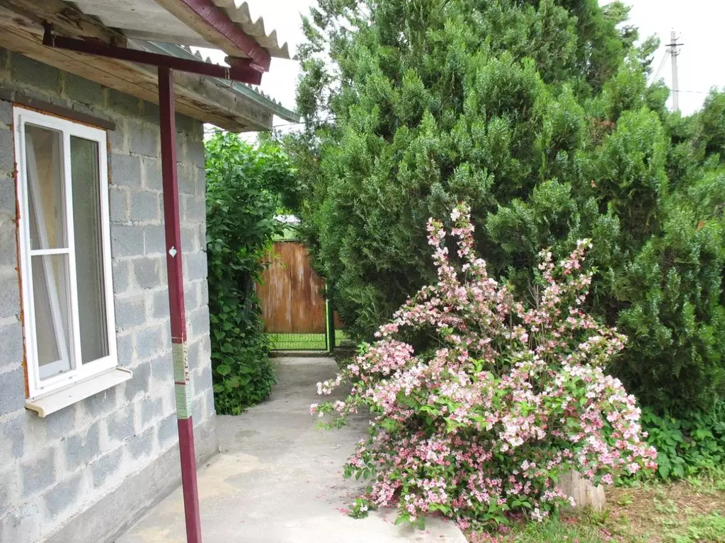 Дом в Краснодарский край, Мостовский район, Губское с/пос, ... - Фото 2