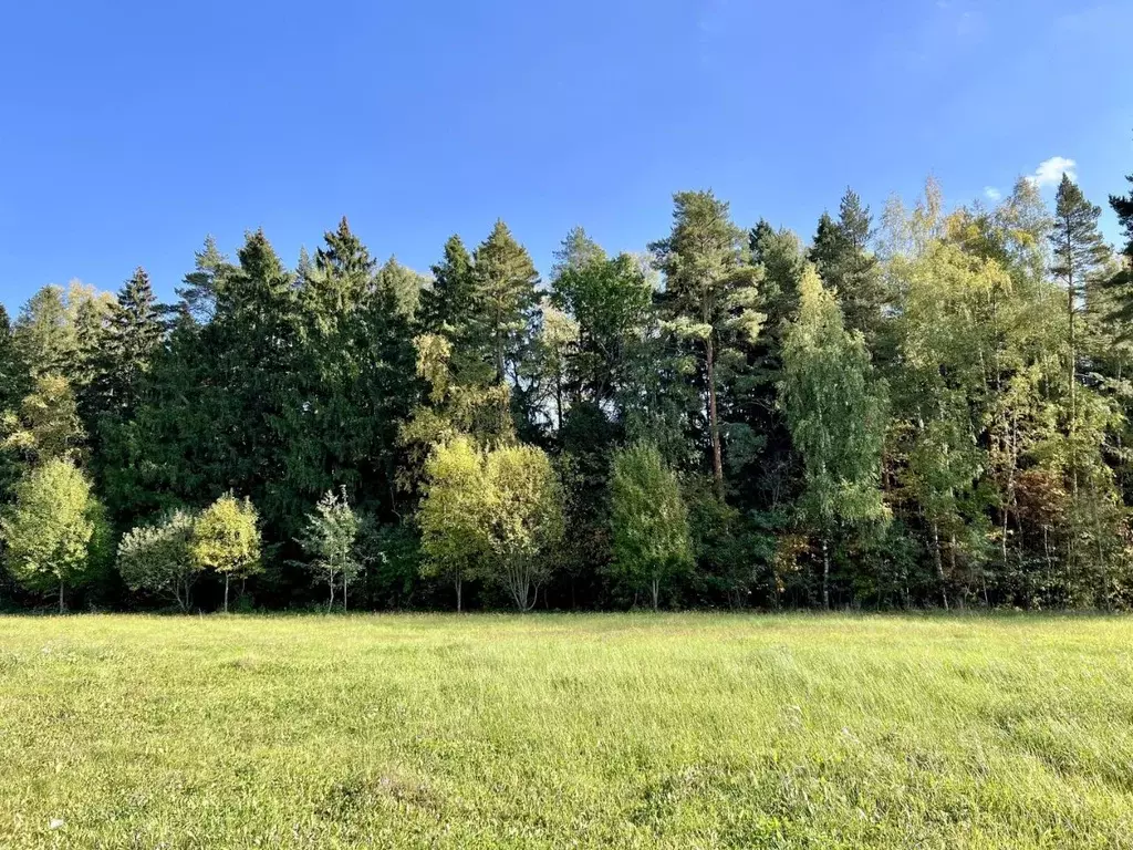 Участок в Московская область, Истра муниципальный округ, д. Падиково ... - Фото 2