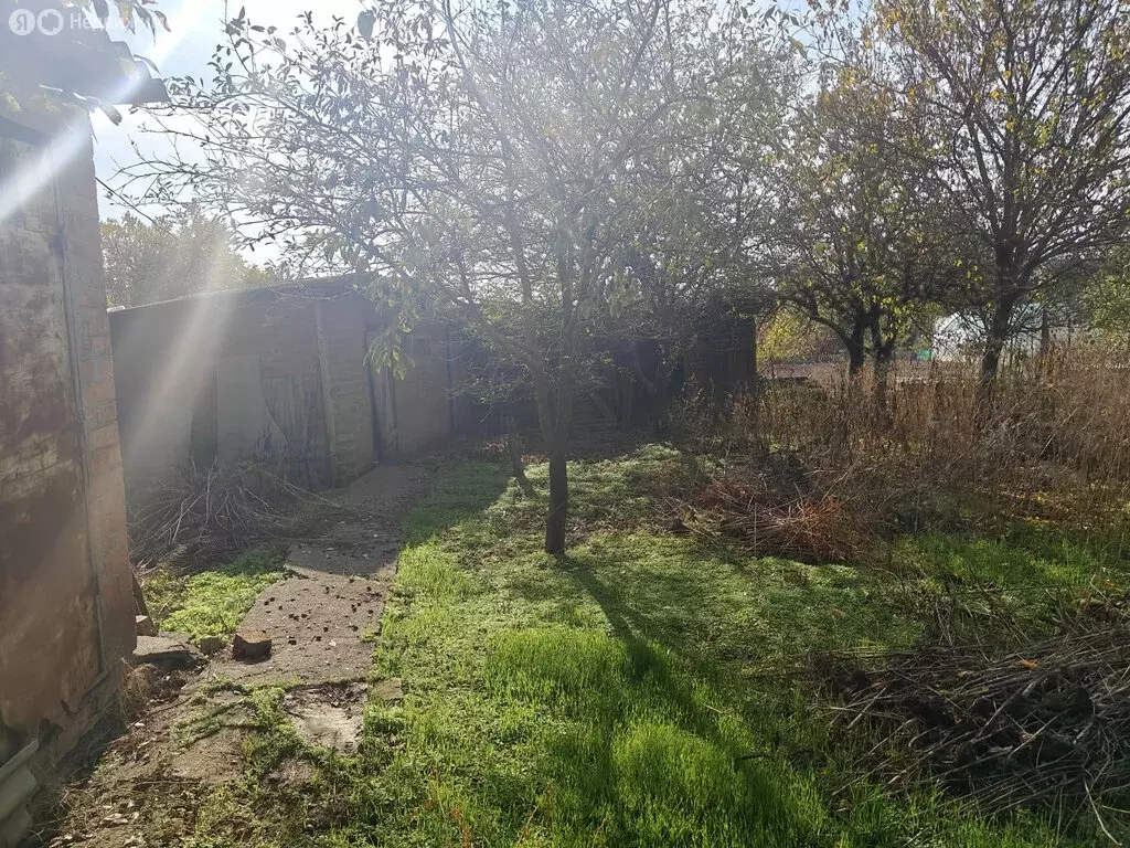 Участок в Кулешовское сельское поселение, СНТ Белгорос (5 м) - Фото 1