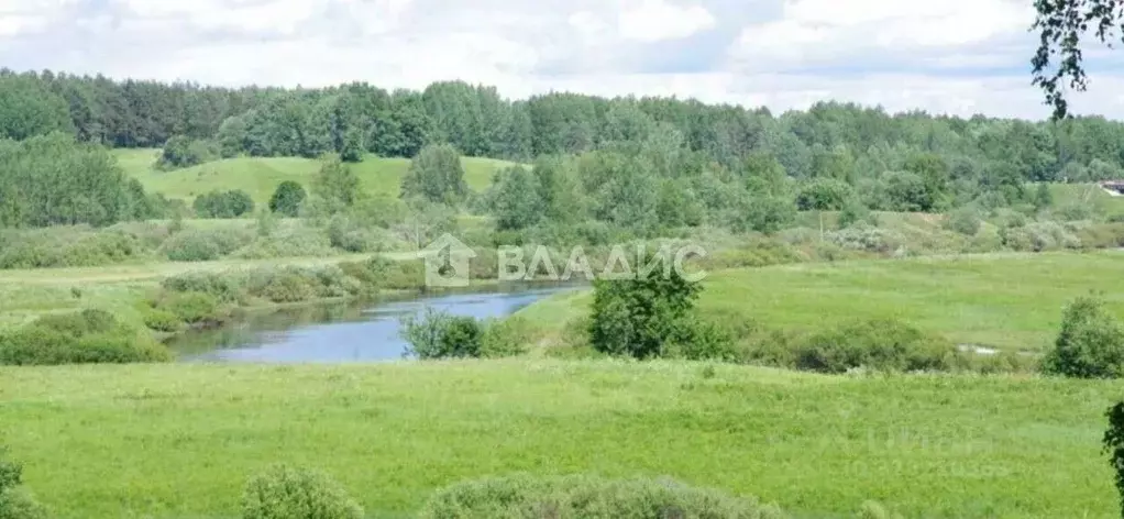 Участок в Ленинградская область, Тихвинский район, Борское с/пос, д. ... - Фото 1