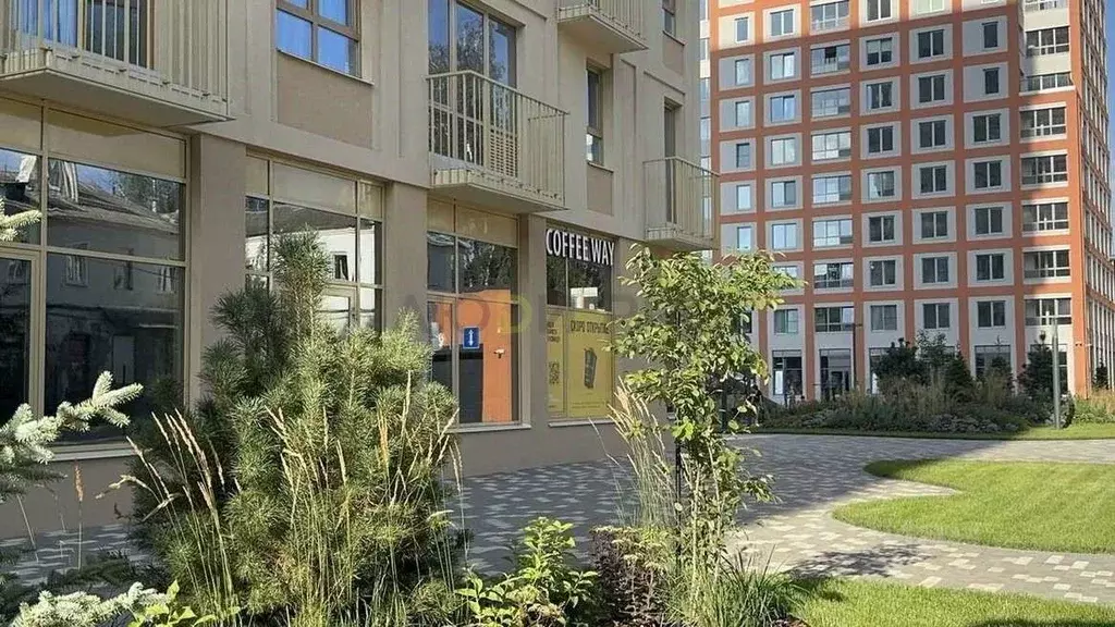 Студия Воронежская область, Воронеж ул. Ломоносова, 116А (28.0 м) - Фото 2