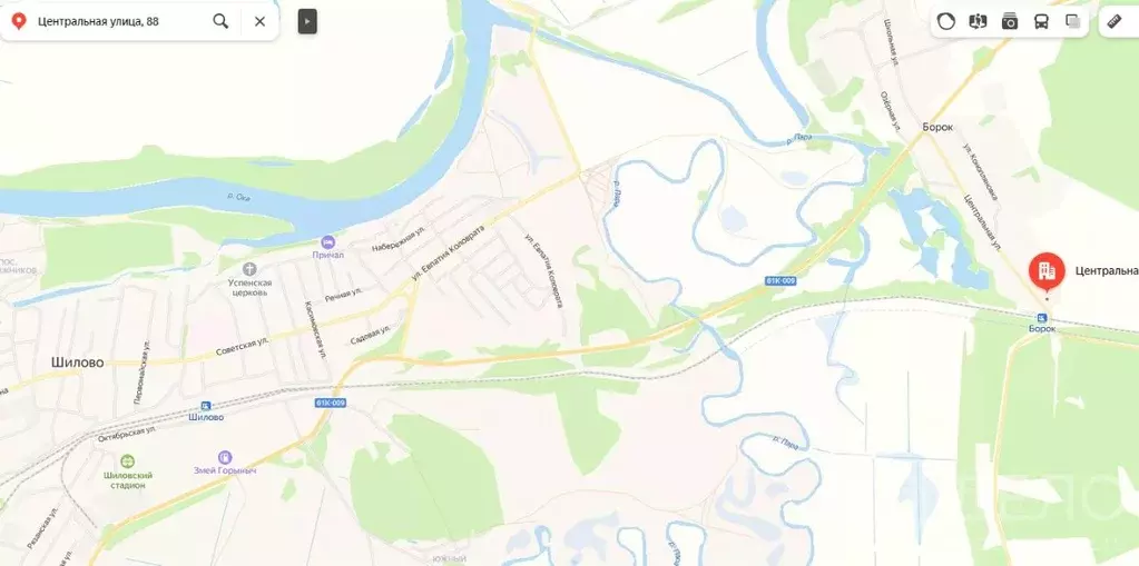Участок в Рязанская область, Шиловское городское поселение, с. Борок ... - Фото 0