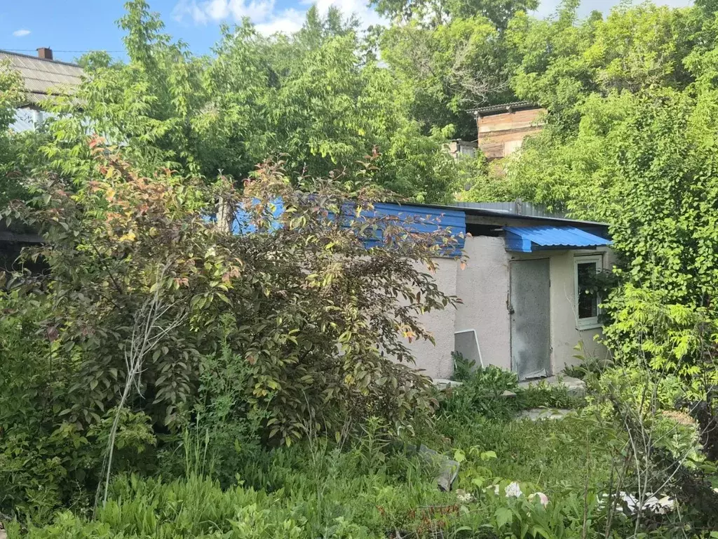 Дом в Саратовская область, Вольск ул. Льва Толстого, 43 (65 м) - Фото 2