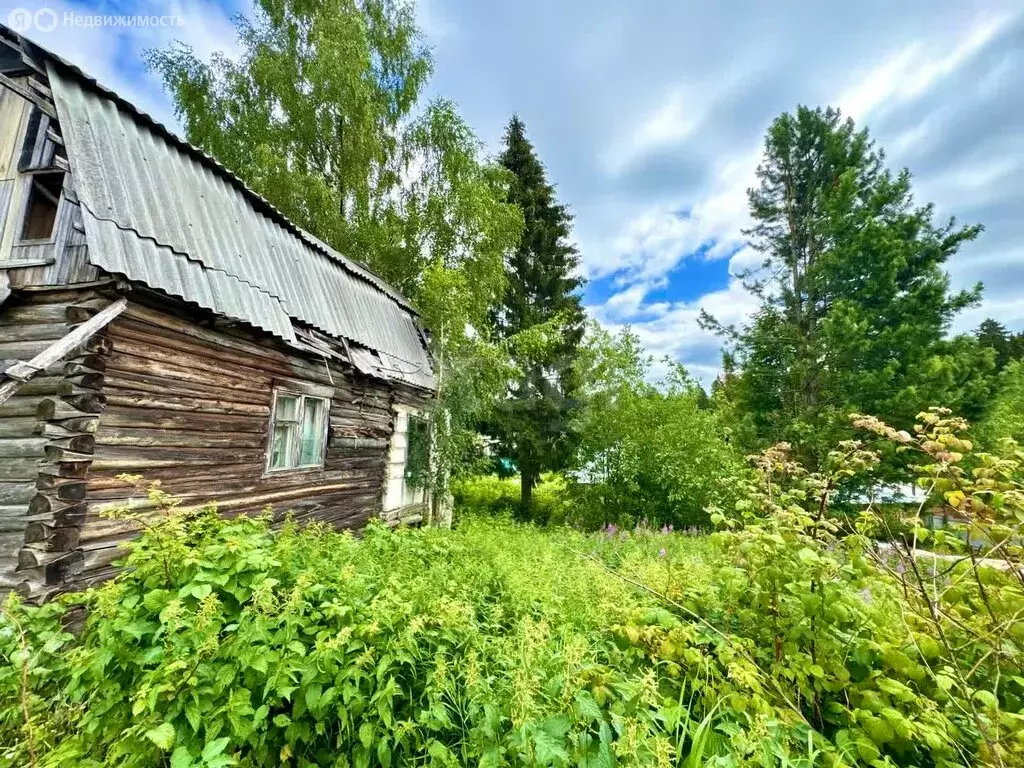 Участок в Сыктывкар, территория Дырносский, СНТ Ручеёк (5.2 м) - Фото 0