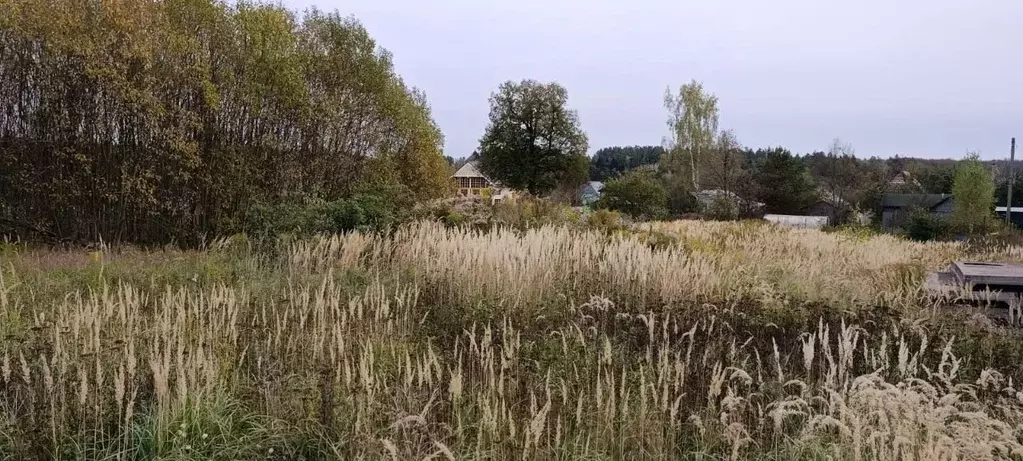 Участок в Московская область, Подольск городской округ, д. ... - Фото 1