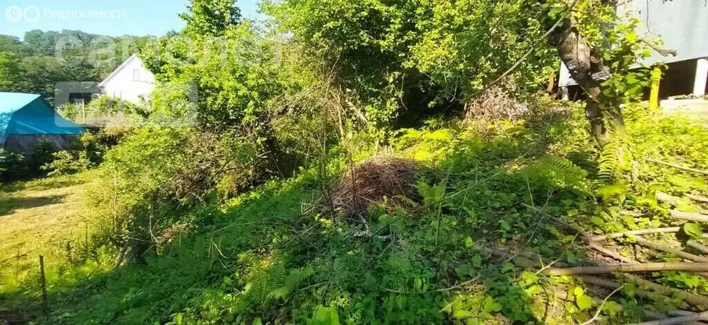 Участок в Краснодарский край, городской округ Сочи, село Русская ... - Фото 1