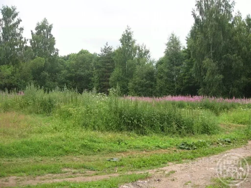 Участок в Ленинградская область, Лужский район, Ретюнское с/пос, д. ... - Фото 0