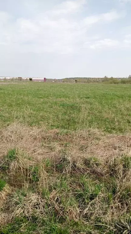 Участок в Московская область, Егорьевск муниципальный округ, д. Юрцово ... - Фото 0