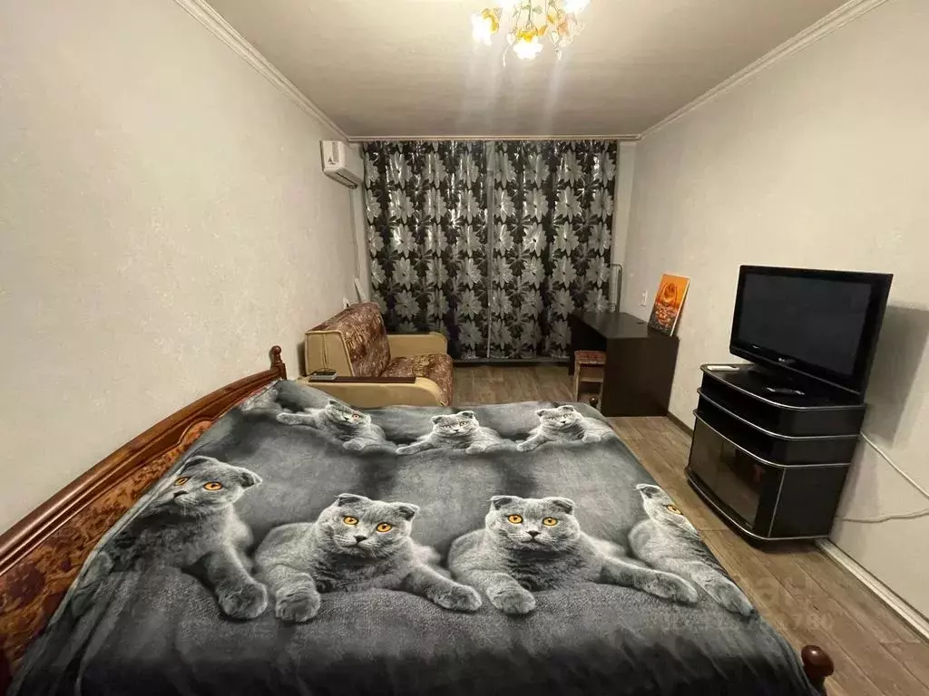 1-к кв. Курская область, Железногорск ул. Гагарина, 6к3 (34.0 м) - Фото 0