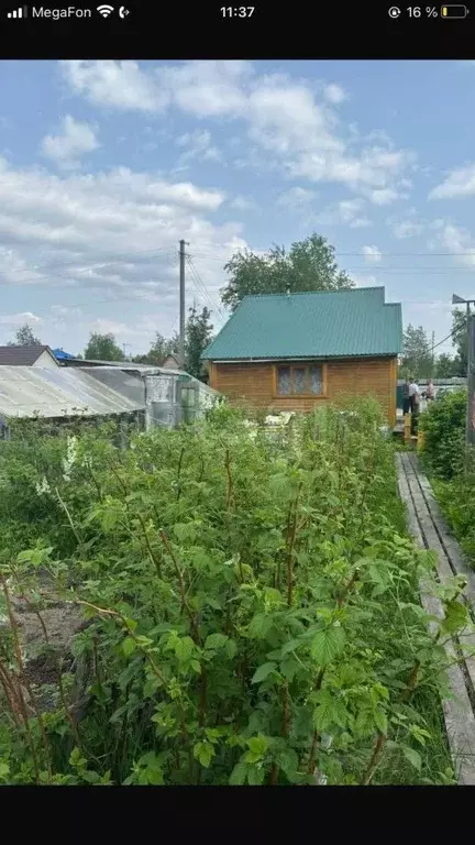 Дом в Ханты-Мансийский АО, Сургут Север-1 СТ, ул. Калиновая (45 м) - Фото 1
