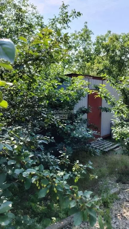 Участок в Краснодарский край, Анапа муниципальный округ, Куток хут.  ... - Фото 1