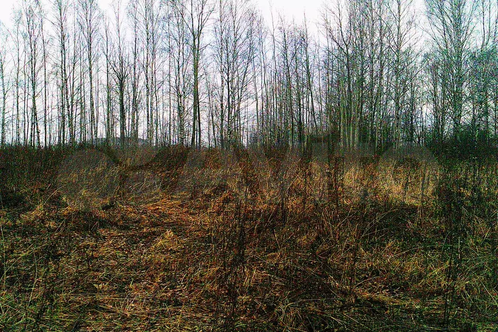 Купить Участок В Зверево Новая Москва