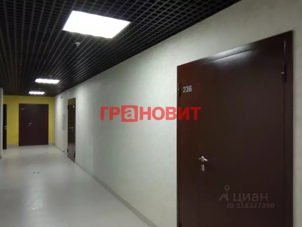 Студия Новосибирская область, Новосибирск ул. Кирова, 113/2 (33.38 м) - Фото 0