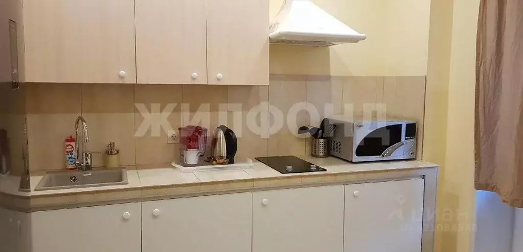 1-к кв. Новосибирская область, Новосибирск ул. Михаила Кулагина, 31 ... - Фото 0