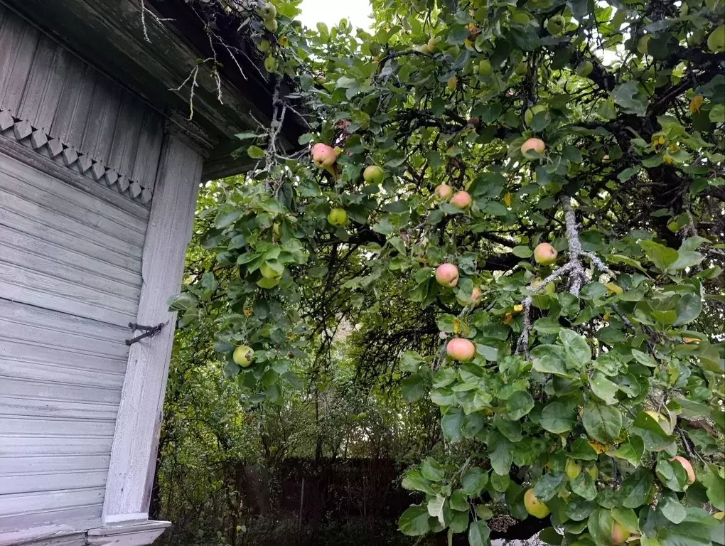 Дом в Ленинградская область, Кингисепп Заречная ул. (30 м) - Фото 1
