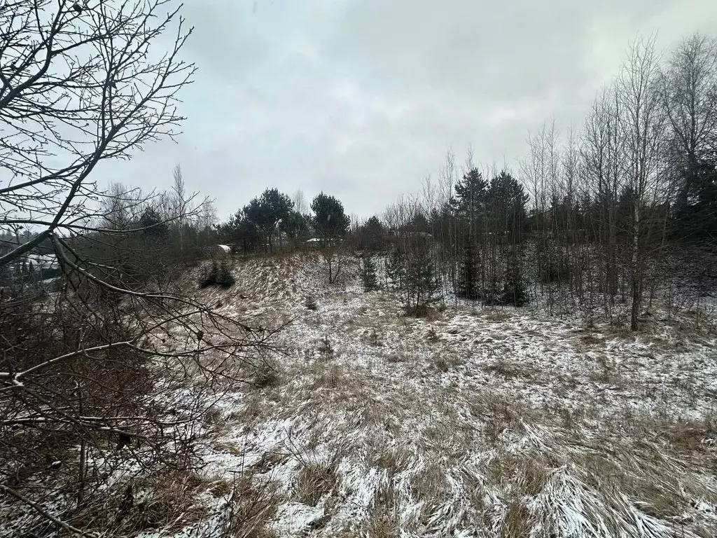 Участок в Московская область, Рузский муниципальный округ, д. ... - Фото 1