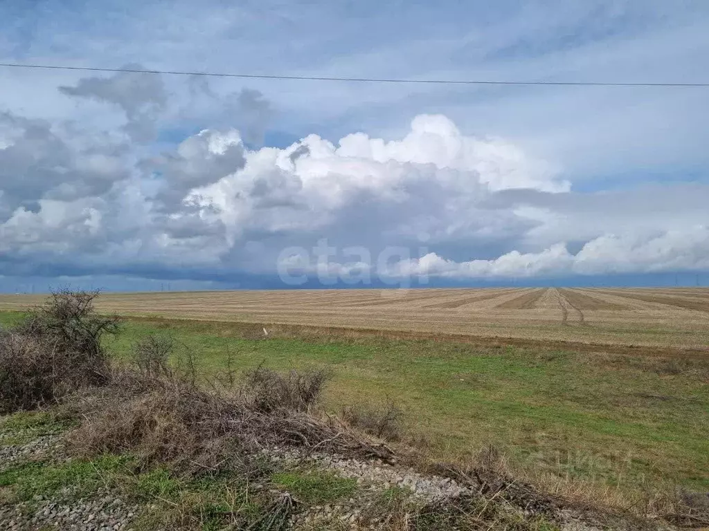 Участок в Крым, Феодосия муниципальный округ, с. Степное ул. Прудная ... - Фото 1