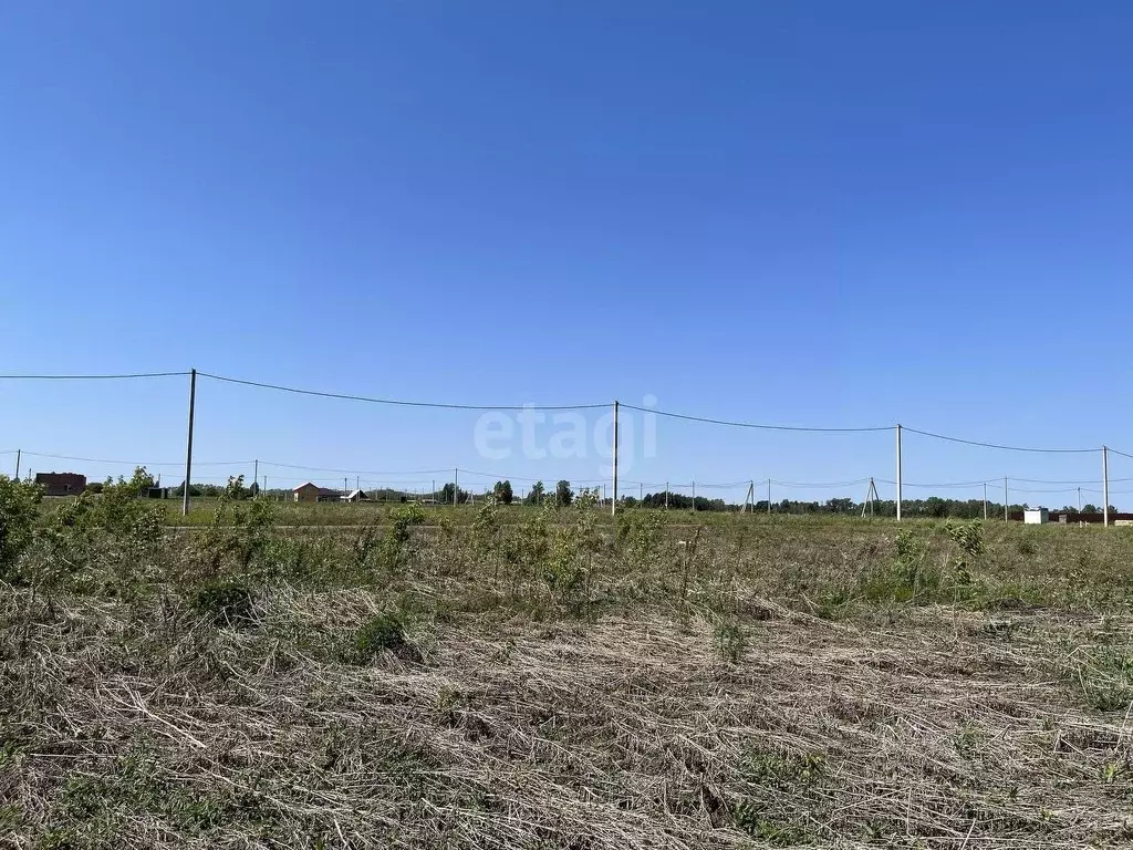 Участок в Новосибирская область, Новосибирский район, Морской ... - Фото 0