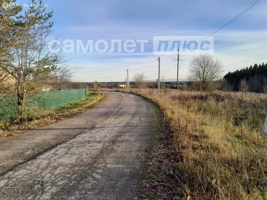 Участок в Вологодская область, Шекснинский муниципальный округ, ... - Фото 1