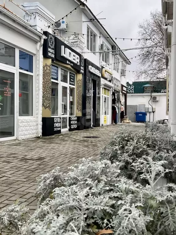 Помещение свободного назначения в Краснодарский край, Анапа ... - Фото 1