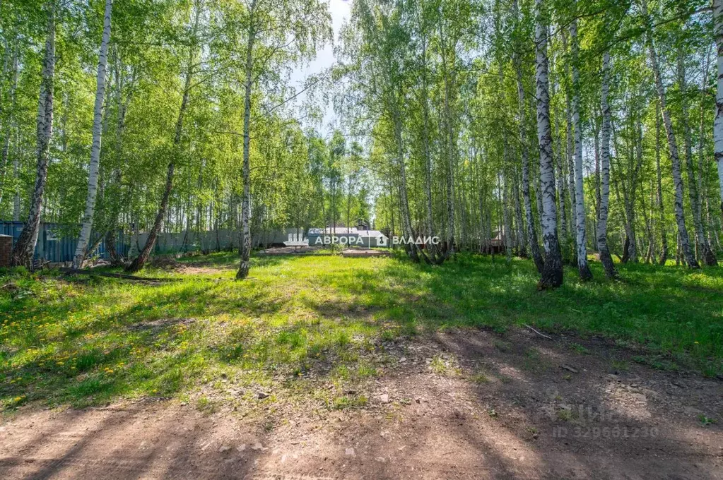 Участок в Башкортостан, Абзелиловский район, Ташбулатовский сельсовет, ... - Фото 1