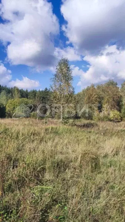 Участок в Тюменская область, Тюменский район, д. Елань 14 (6.68 сот.) - Фото 0