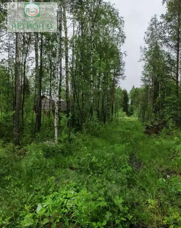 Участок в Архангельск, КИЗ Исакогорка (10 м) - Фото 0
