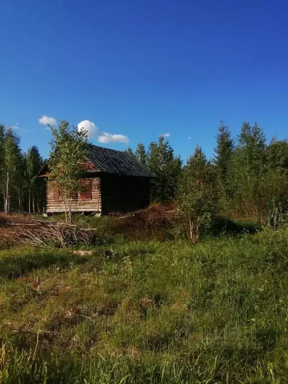 Участок в Новгородская область, Малая Вишера ул. Некрасова, 118 (12.0 ... - Фото 1