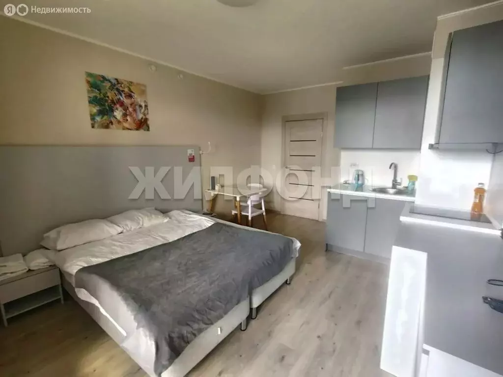 Квартира-студия: Санкт-Петербург, Политехническая улица, 6 (28.1 м) - Фото 2