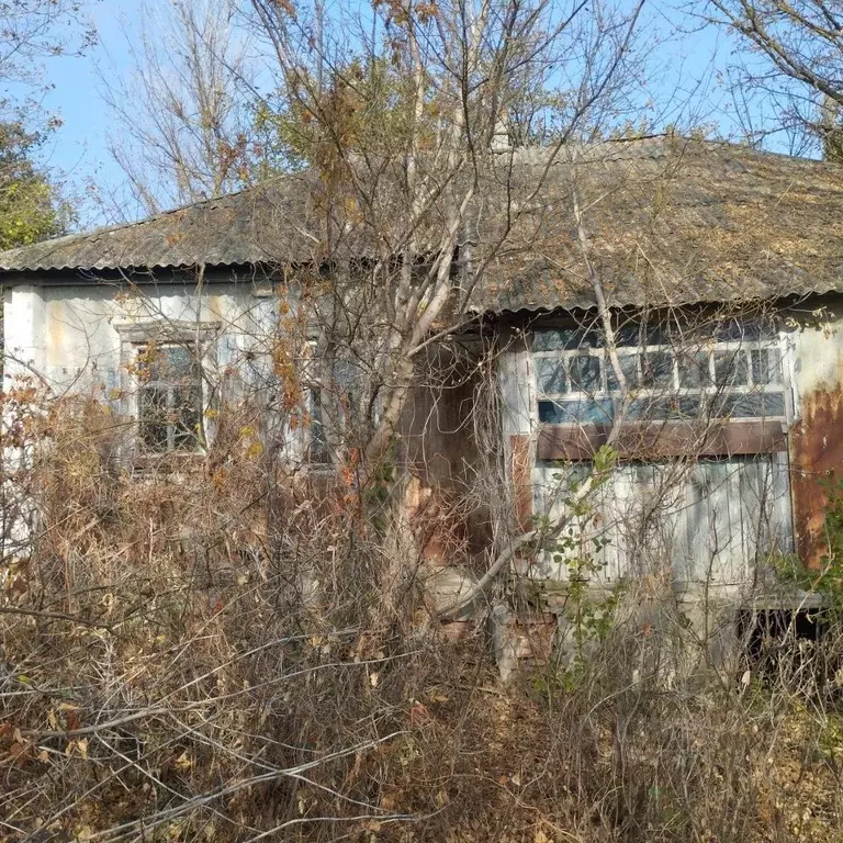 Дом в Воронежская область, Острогожский район, Криниченское с/пос, ... - Фото 0