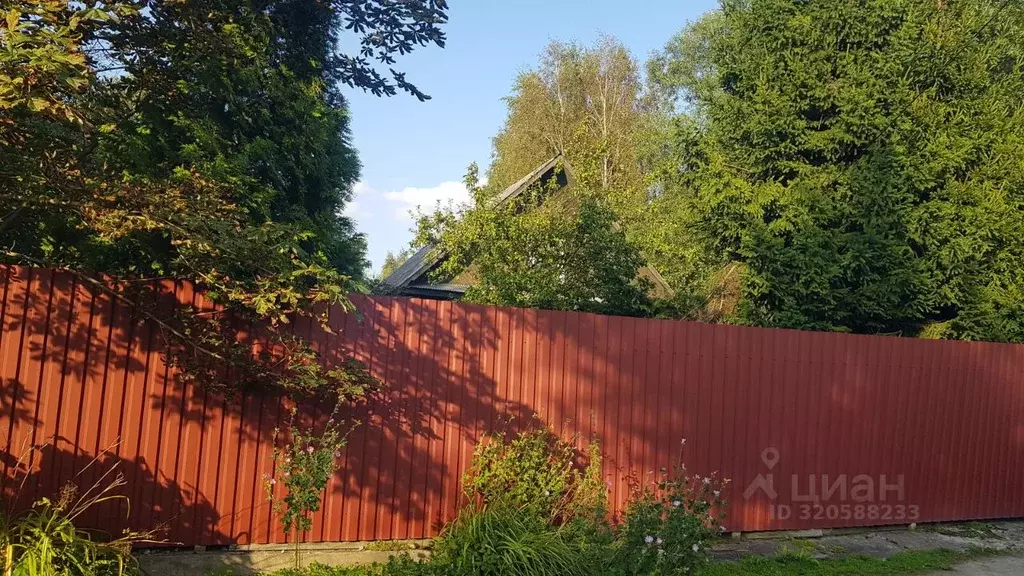 Участок в Санкт-Петербург Лахта тер., ул. Приморская, 17 (11.7 сот.) - Фото 1