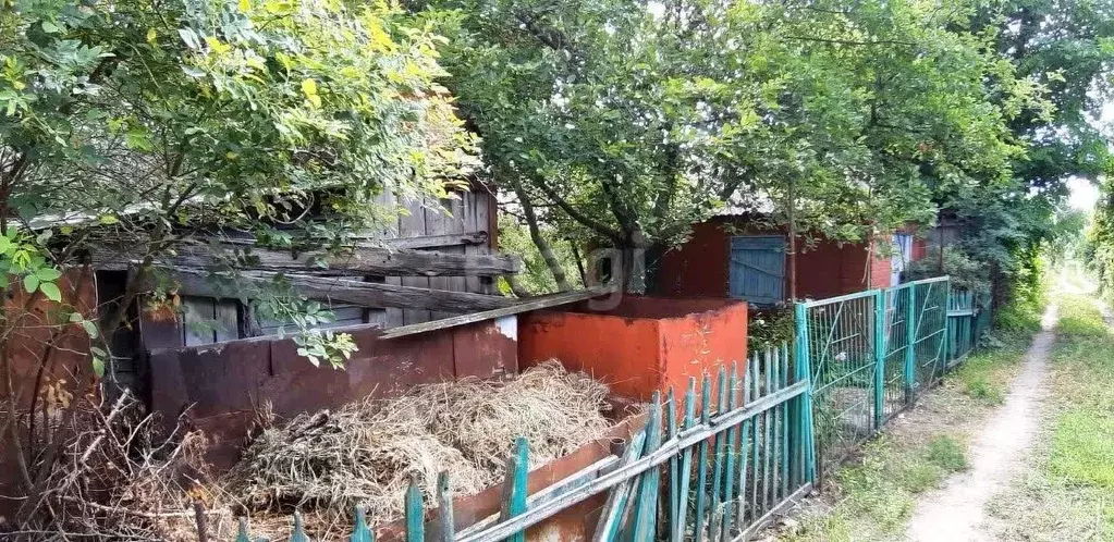 Дом в Белгородская область, Белгород Котельщик садовое товарищество, ... - Фото 1