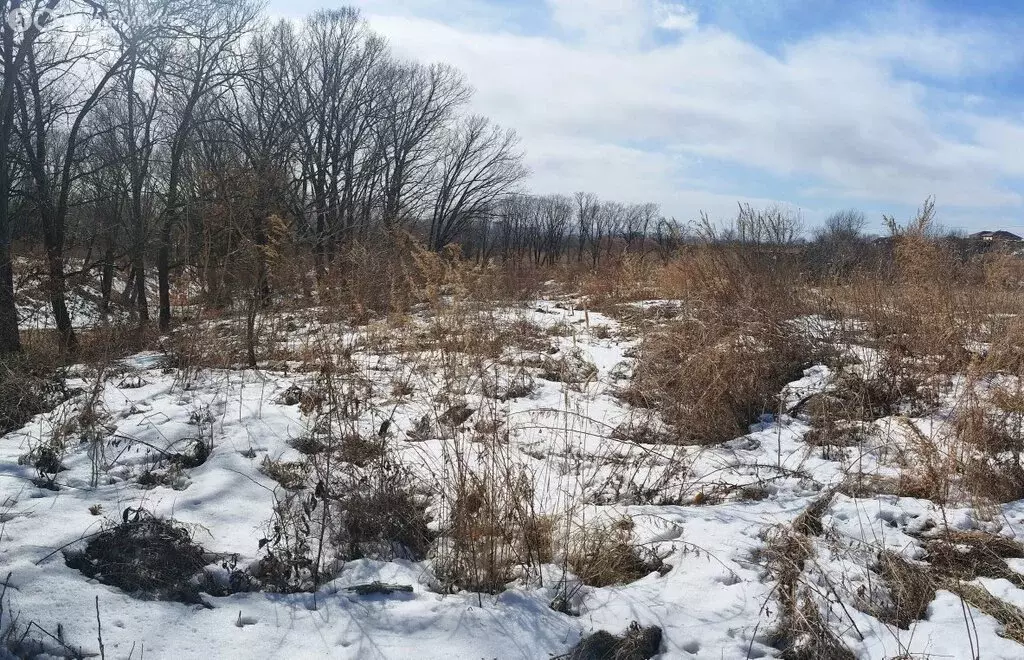 Участок в Уссурийск, Казачья улица (8.1 м) - Фото 1