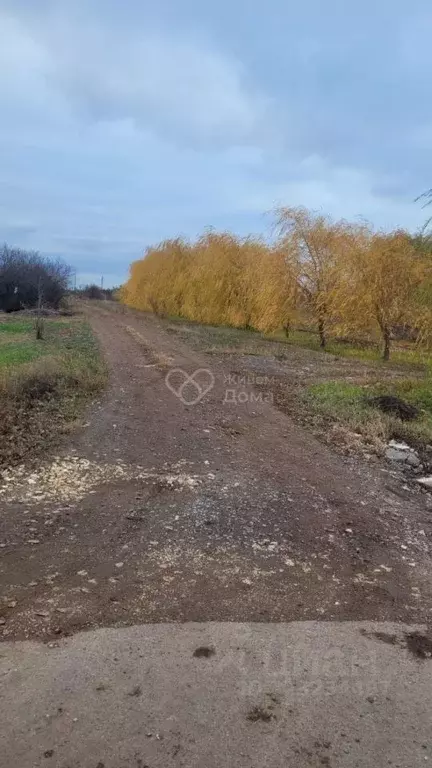 Участок в Волгоградская область, Волжский Садовод-1 СНТ, ул. ... - Фото 2