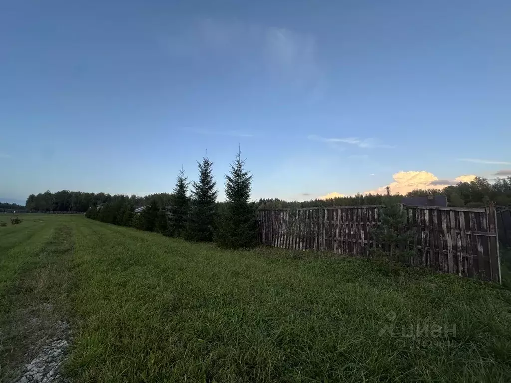 Участок в Московская область, Ступино городской округ, д. Дубечино  ... - Фото 1