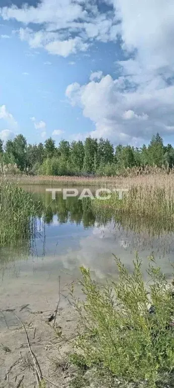 Участок в Воронежская область, Семилукский район, Девицкое с/пос, ... - Фото 0