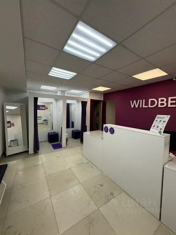 Помещение свободного назначения в Новосибирская область, Новосибирск ... - Фото 1