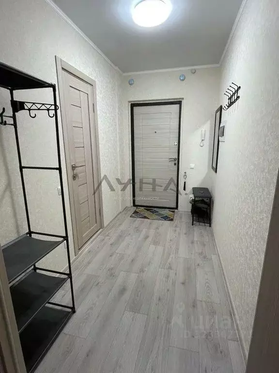 Студия Татарстан, Набережные Челны ул. Гостева, 55 (24.0 м) - Фото 2