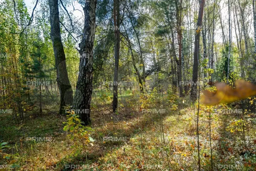 Участок 34 сот. (ИЖС) - Фото 1