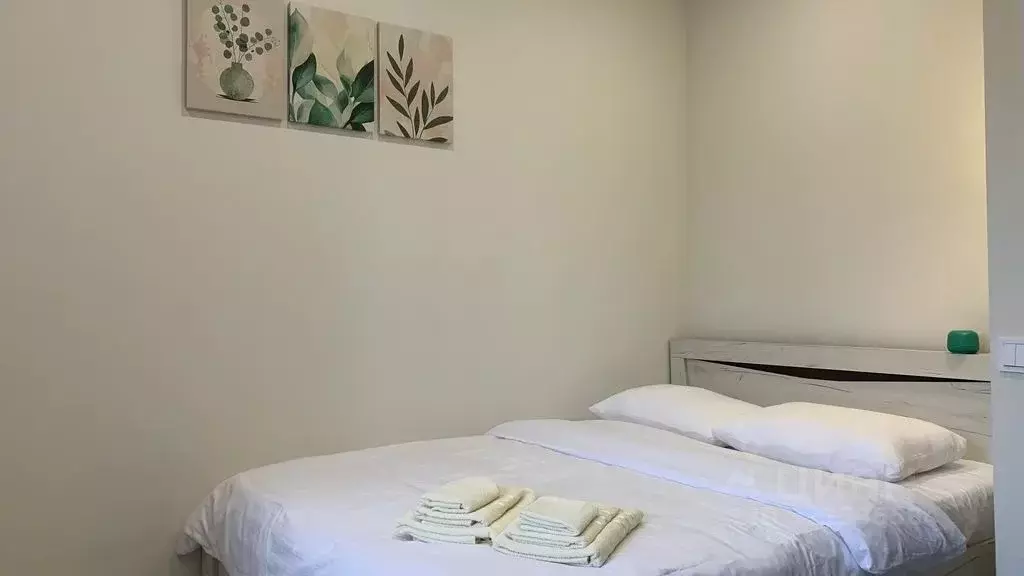 Студия Архангельская область, Архангельск Советская ул., 40к1 (15.0 м) - Фото 2